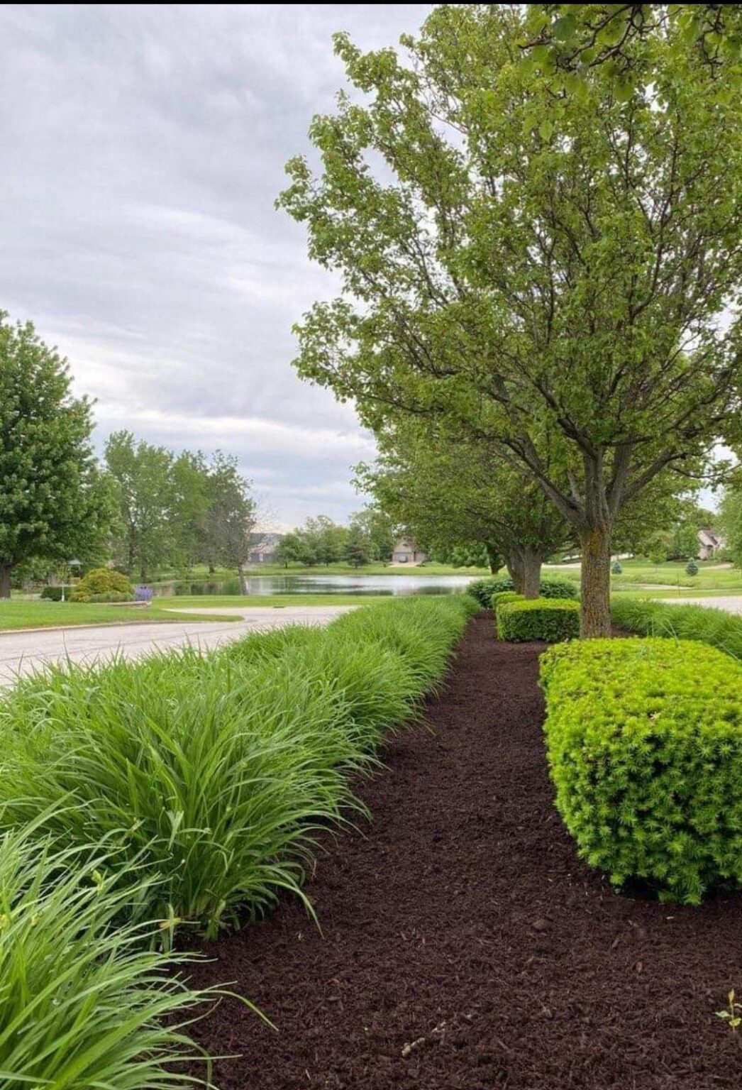 Mulch Best Budget Tree Service