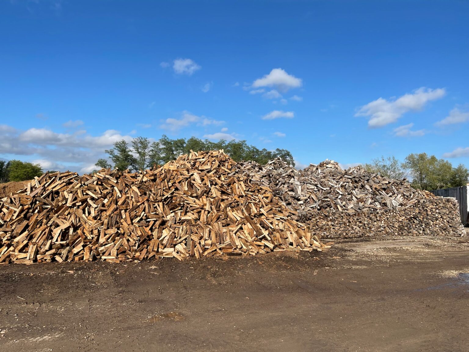 Firewood Best Budget Tree Service